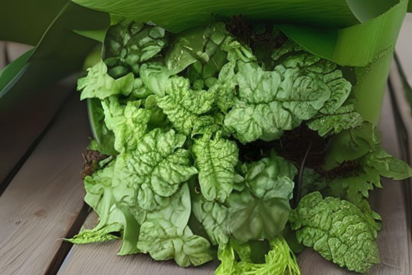 Bloomsdale Long Standing Spinach Seeds: Heirloom Leafy Green for Home Garden