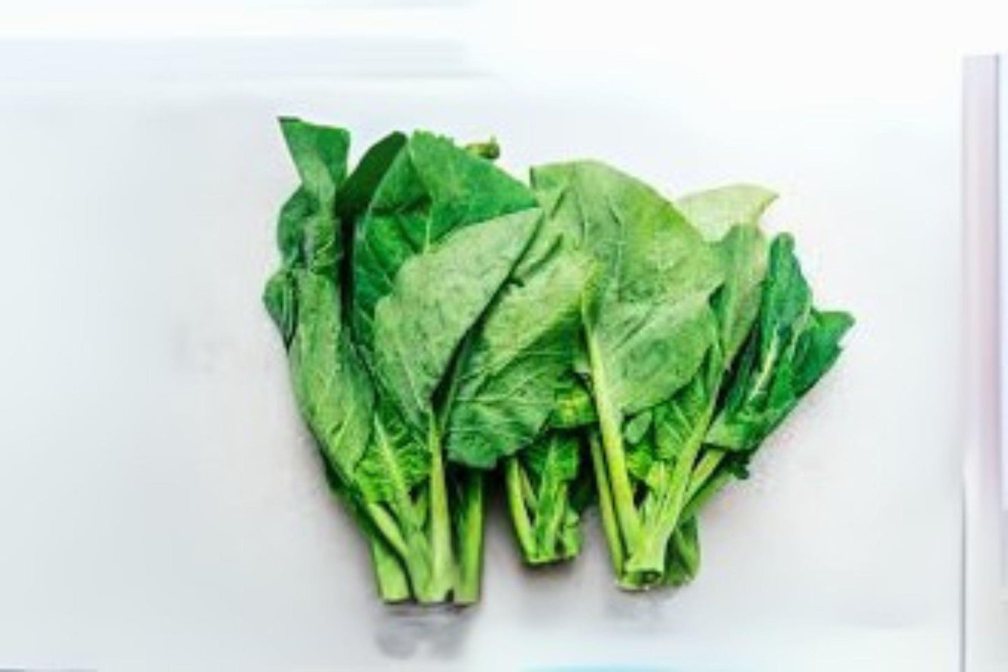 Wan Shen Kailan Seeds: Chinese Broccoli for Stir Fry - 150 Heirloom Seeds