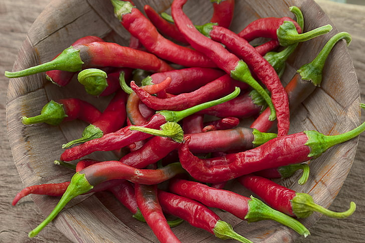 3 Thai Red Dragon Chili Live Plants 75 Days Old – Capsicum annuum Hot Pepper