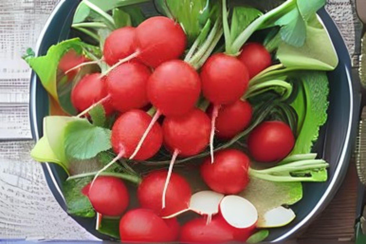 80 Cherry Belle Radish Seeds: Heirloom Salad Vegetable