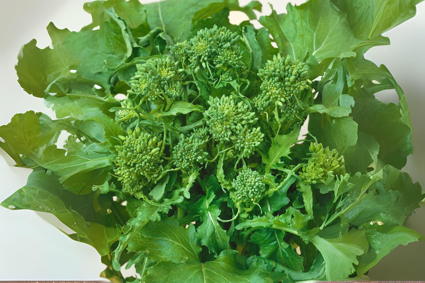 150 Broccoli Raab Rapini Seeds: Italian Heirloom, Fast-Growing Greens