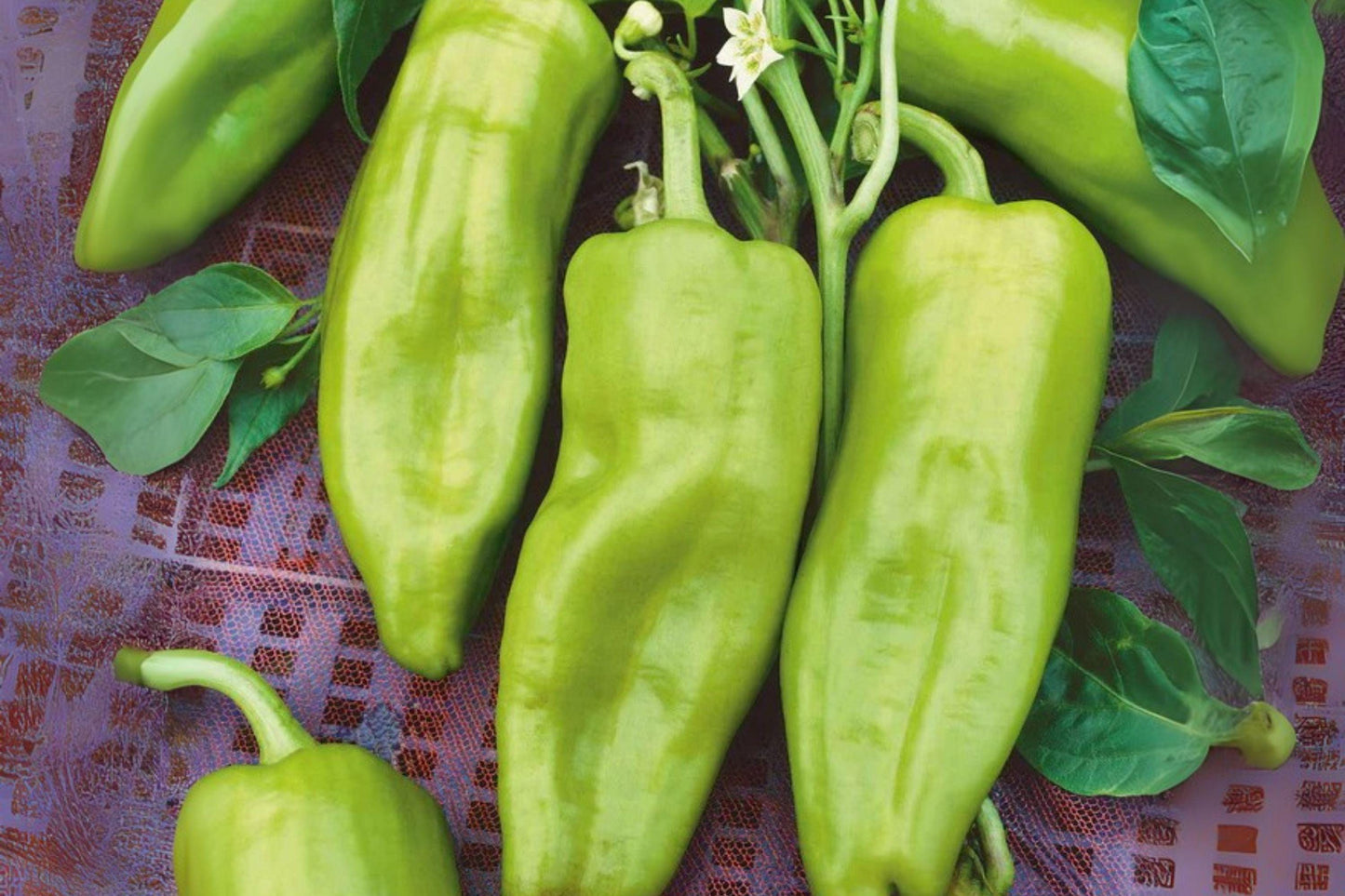 Cubanelle Sweet Pepper Seeds | Mild Heirloom, Non-GMO (250 mg)