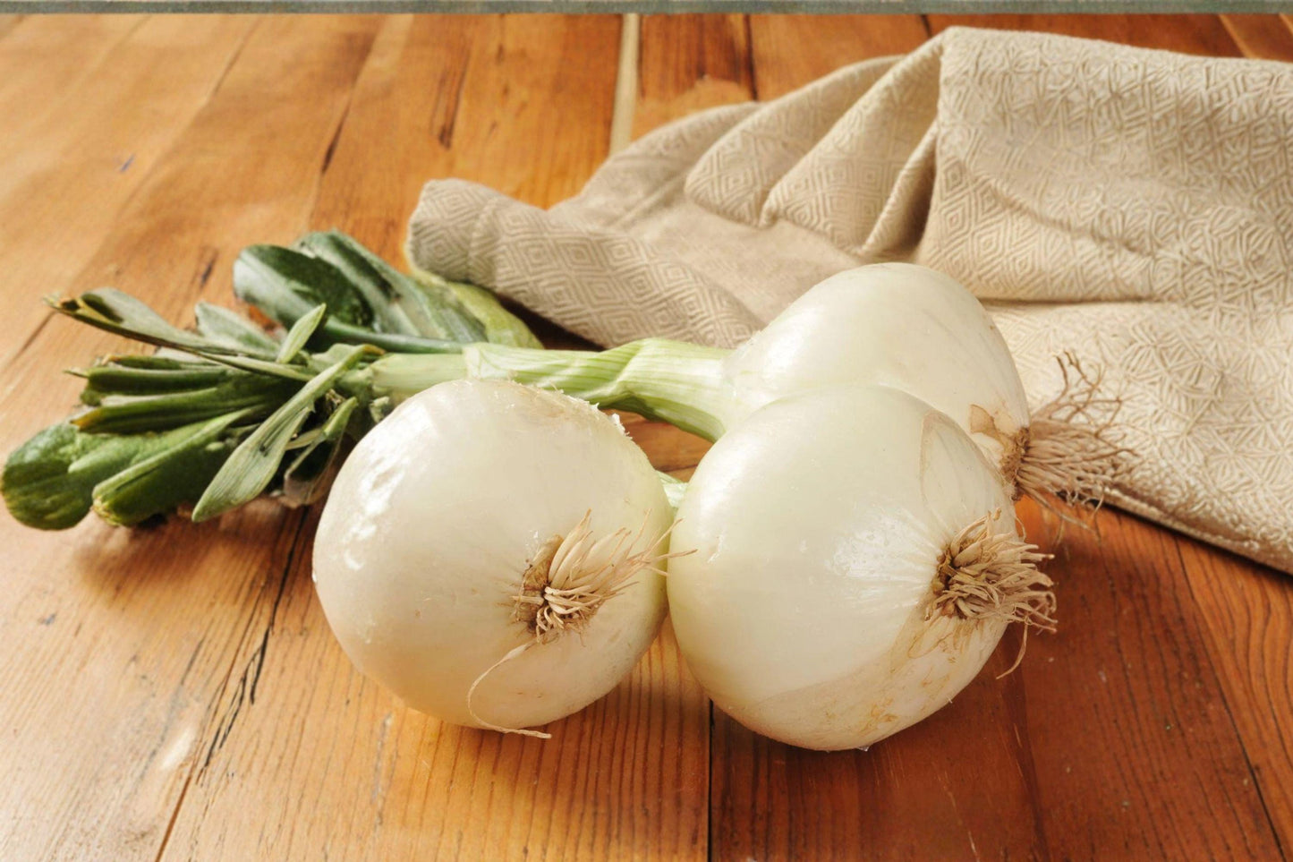 250 mg Seeds Onion Ringmaster | Sweet White Onion | Non-GMO | Heirloom Bulb Vegetable Garden