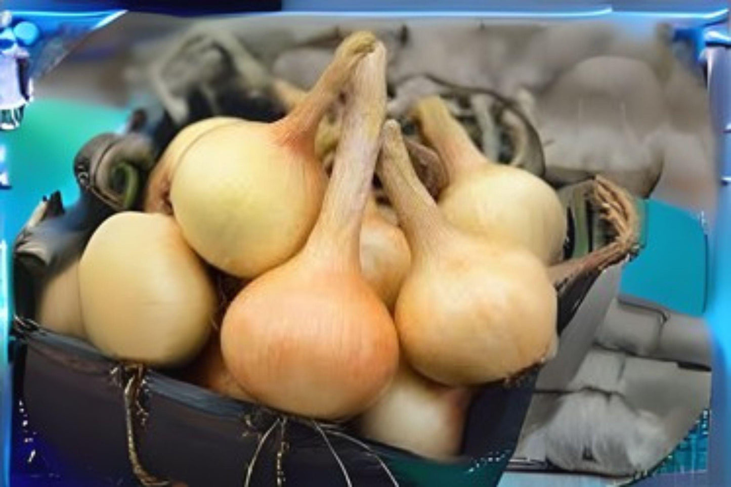 Walla Walla Sweet Onion Seeds: Heirloom, Non-GMO (250 mg)