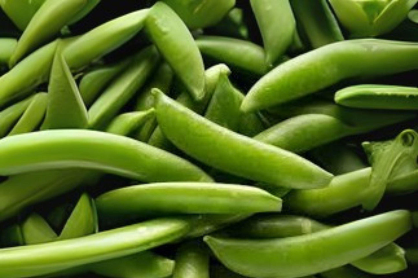 Sugar Snap Pea Seeds: Sweet, Crisp Edible Pods - 30 Seeds