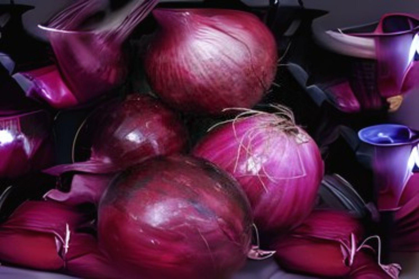 Heirloom Southport Red Globe Onion Seeds - 250 mg Non-GMO