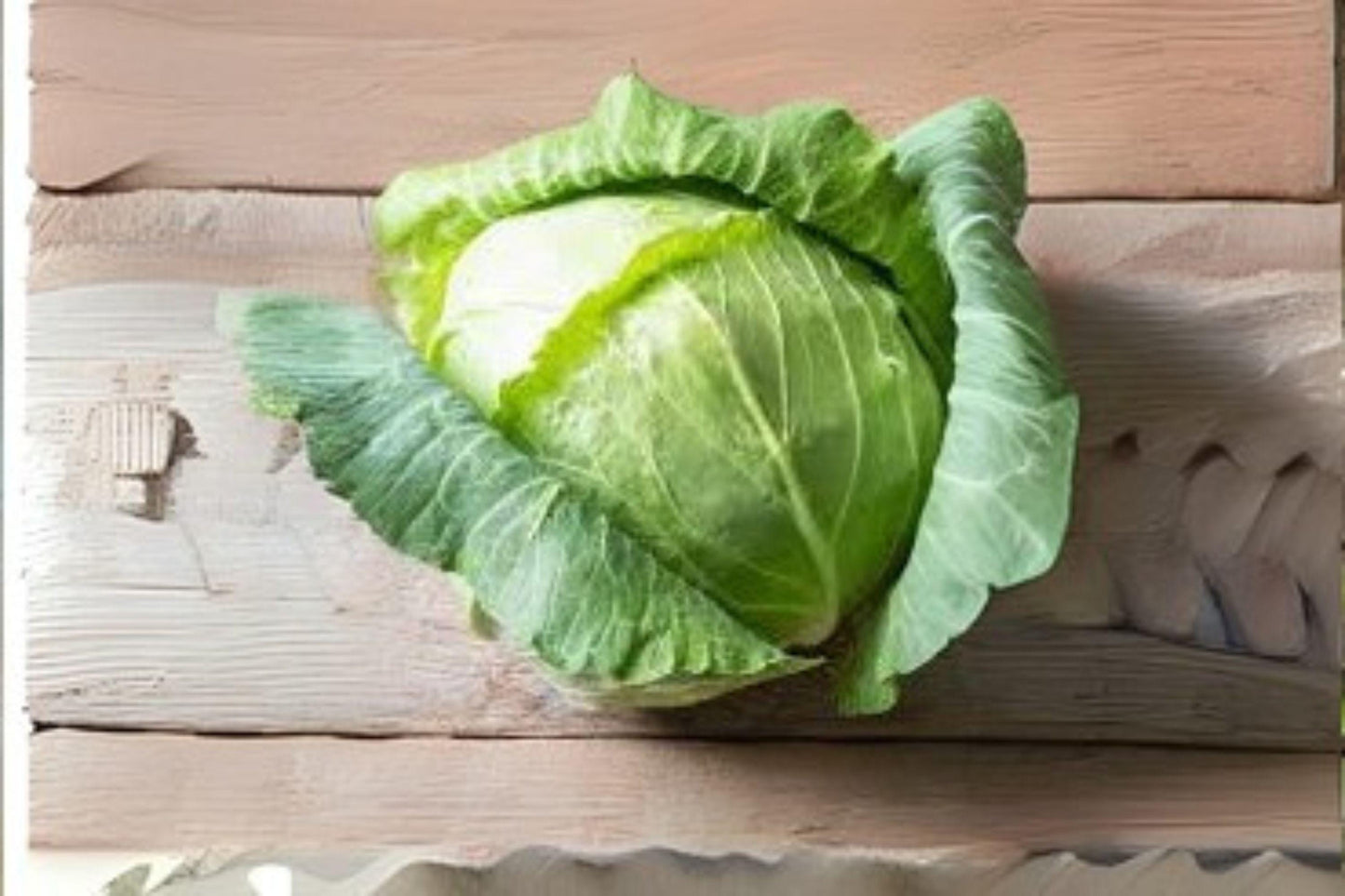Copenhagen Market Cabbage Seeds: 250 Heirloom Seeds for Reliable Harvest