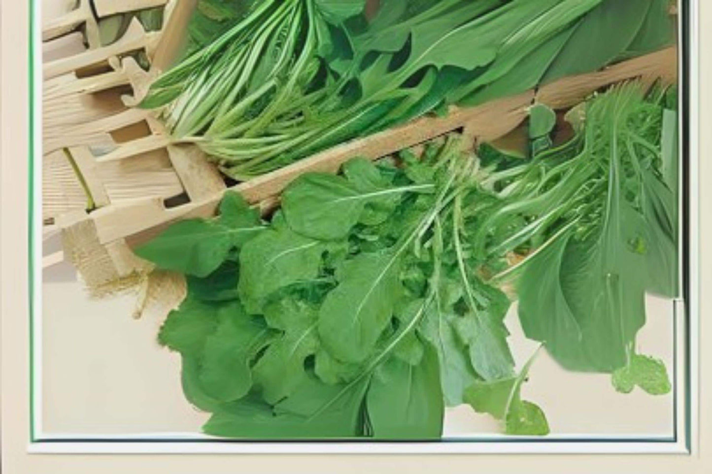 700 Arugula Seeds: Heirloom Salad Rocket, Peppery Garden Greens