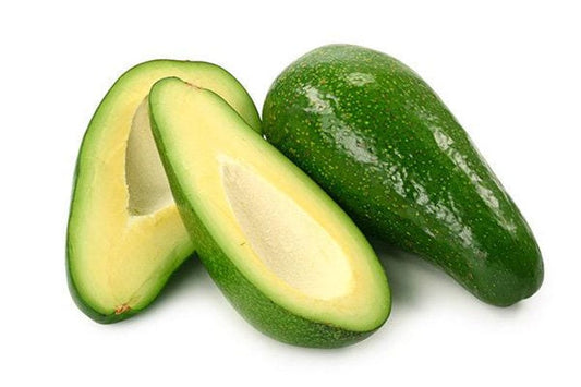 Fuerte Avocado Tree - 2 Feet Tall Grafted Plant - Ship in 6" Pot - Persea americana