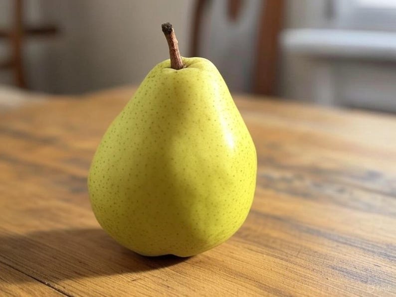 Bartlett Pear Tree Seedling 12-18 Inch Live Plant for Wildlife or Grafting Pyrus communis - No Shipping to CA or HI