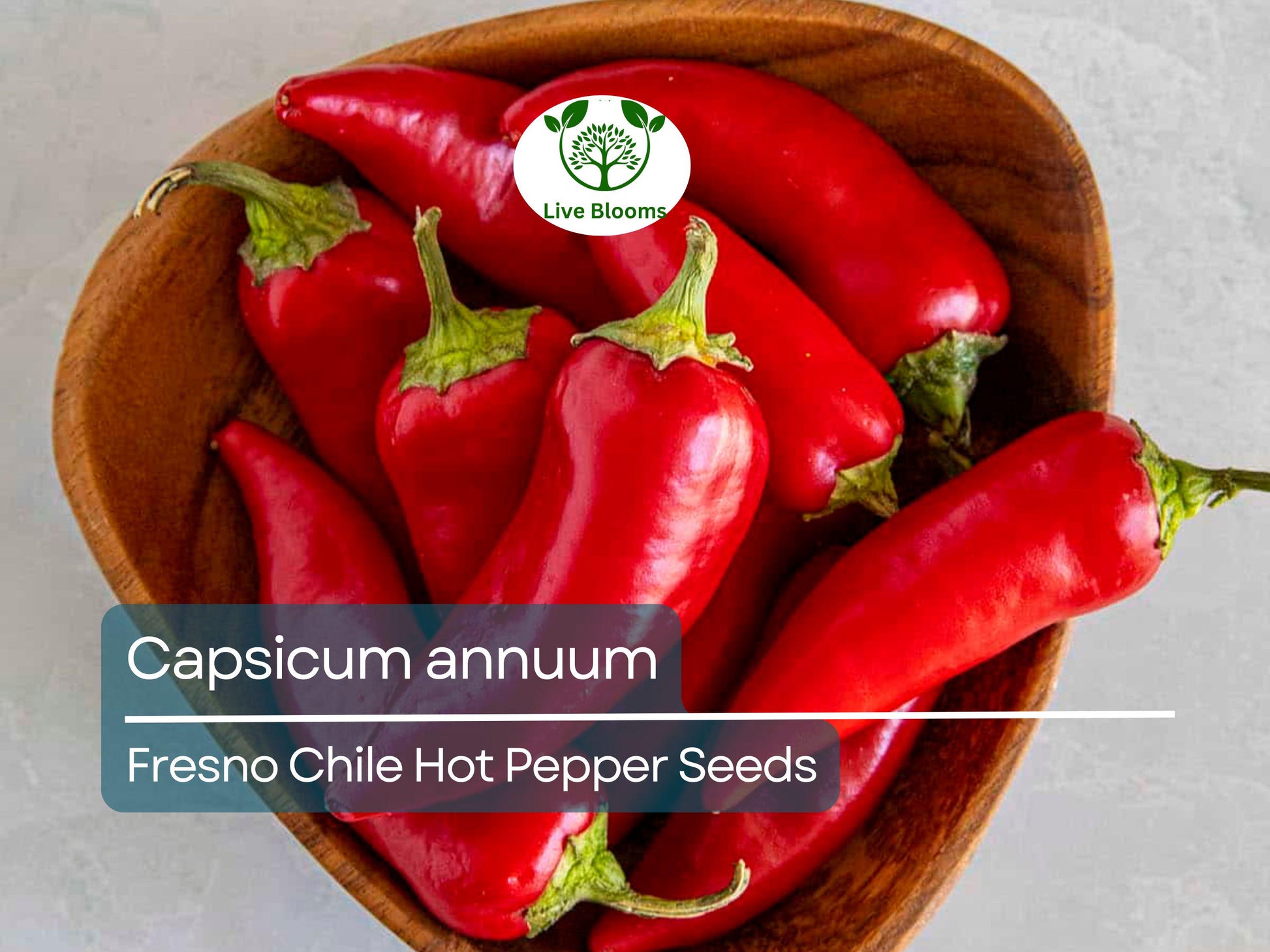 250 mg Fresno Chile Hot Pepper Seeds - Capsicum annuum | Heirloom Pepper for Planting, Spicy and Flavorful, Great for Salsas & Cooking