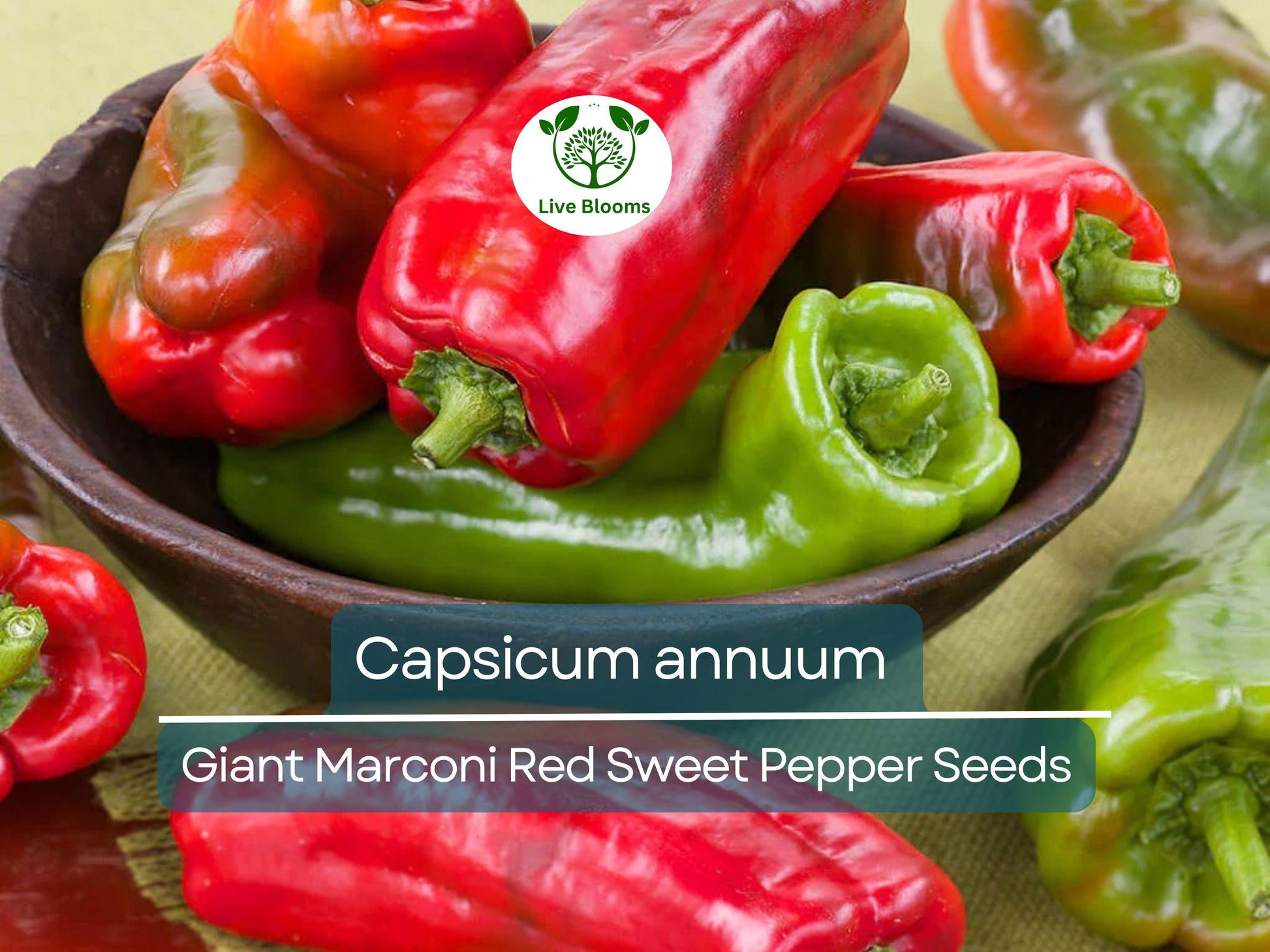 250 mg Giant Marconi Red Sweet Pepper Seeds - Capsicum annuum | Heirloom Sweet Pepper for Planting, Gardening & Culinary Use