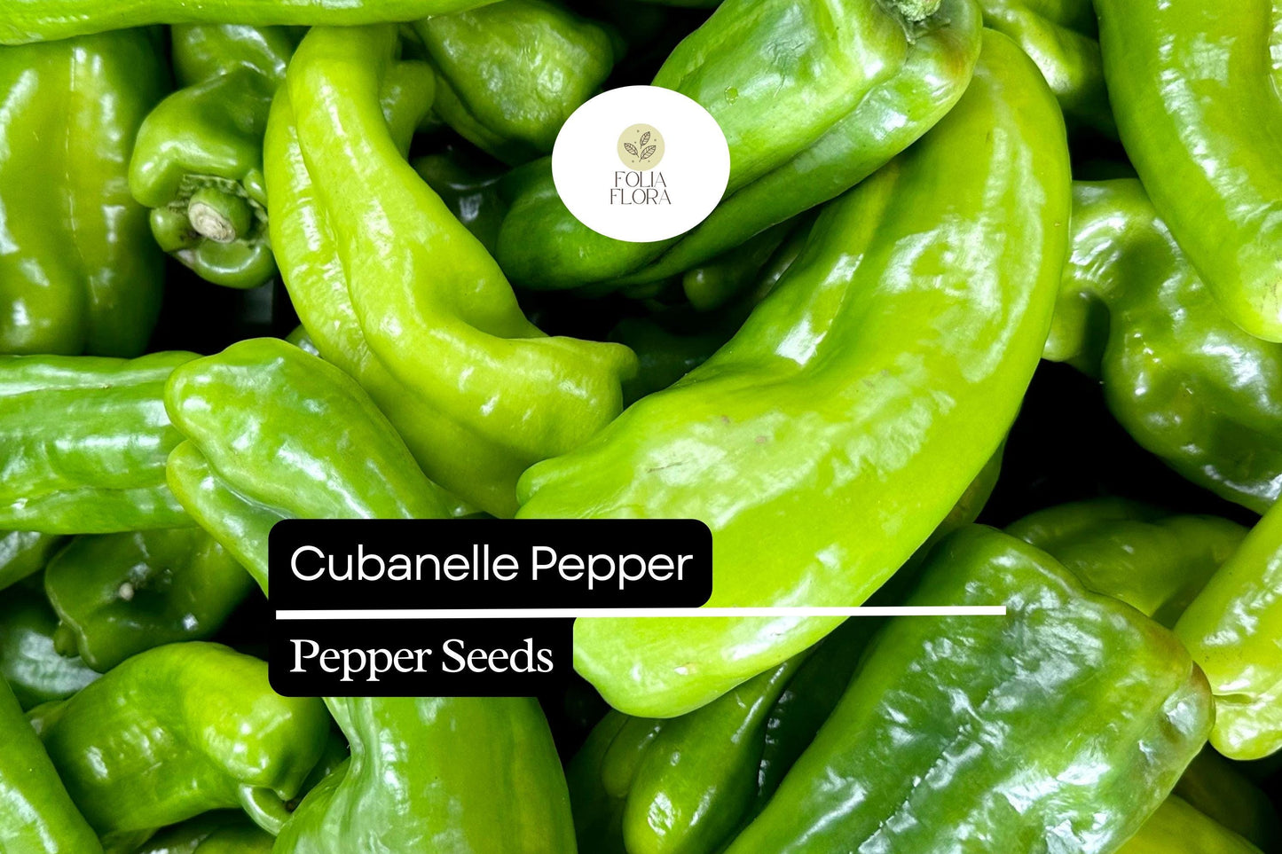 30 Seeds Cubanelle Pepper, Capsicum Annuum, Sweet Mild Heirloom Frying Pepper