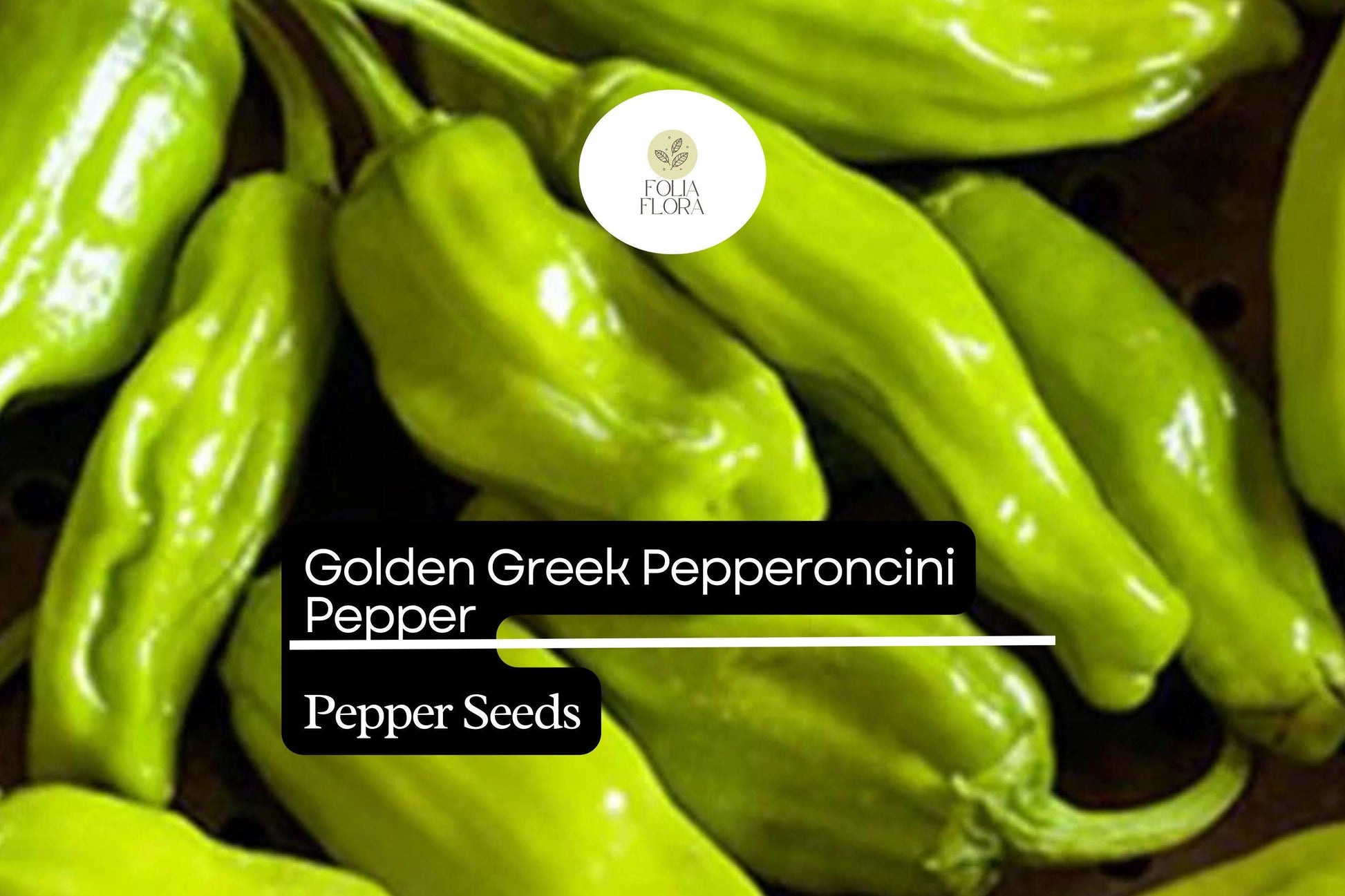 30 Seeds Golden Greek Pepperoncini – Mild Pepper, Capsicum annuum
