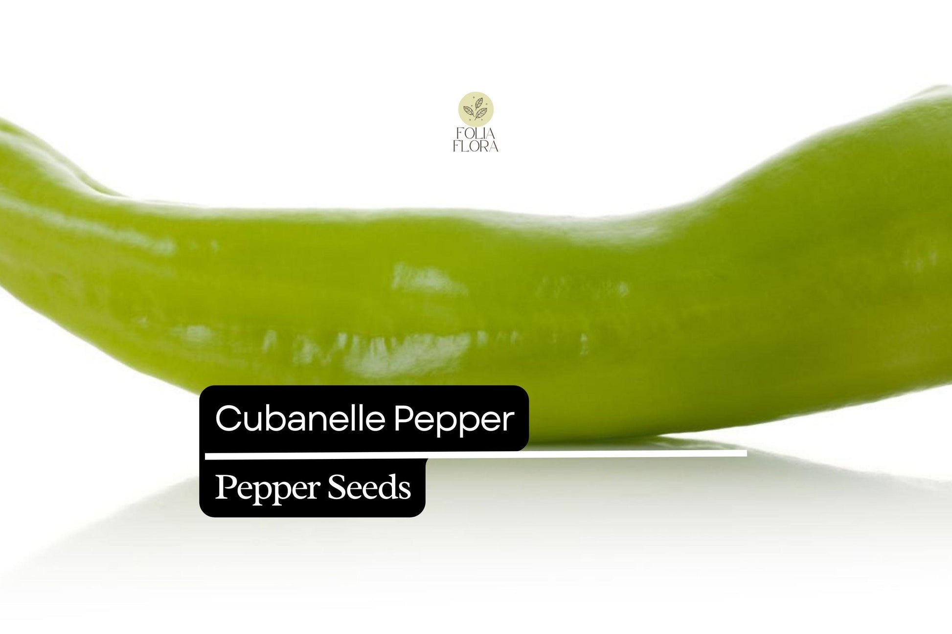 30 Seeds Cubanelle Pepper, Capsicum Annuum, Sweet Mild Heirloom Frying Pepper
