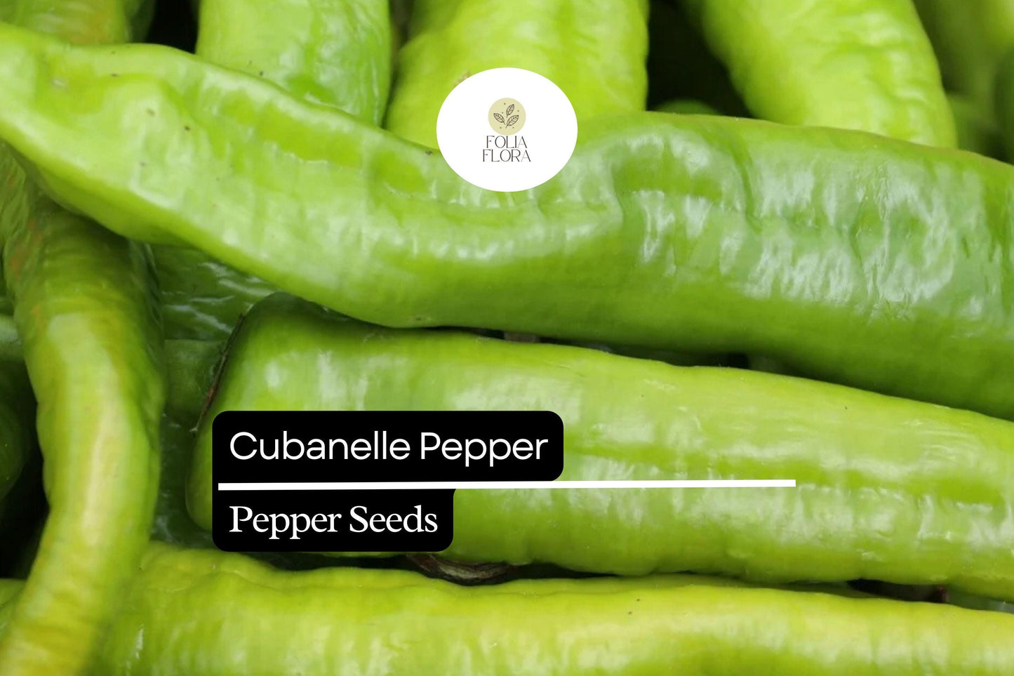 30 Seeds Cubanelle Pepper, Capsicum Annuum, Sweet Mild Heirloom Frying Pepper