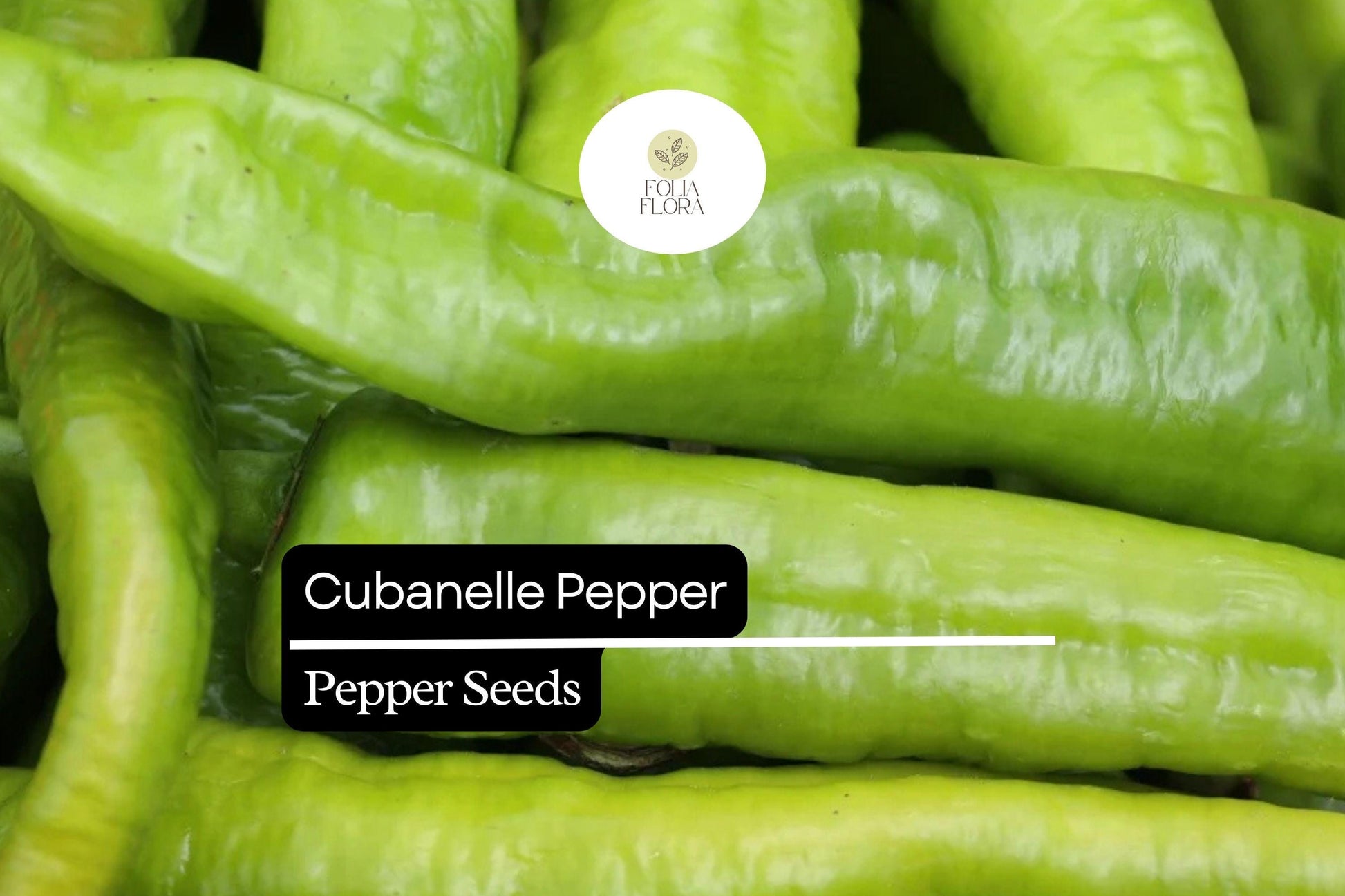 30 Seeds Cubanelle Pepper, Capsicum Annuum, Sweet Mild Heirloom Frying Pepper