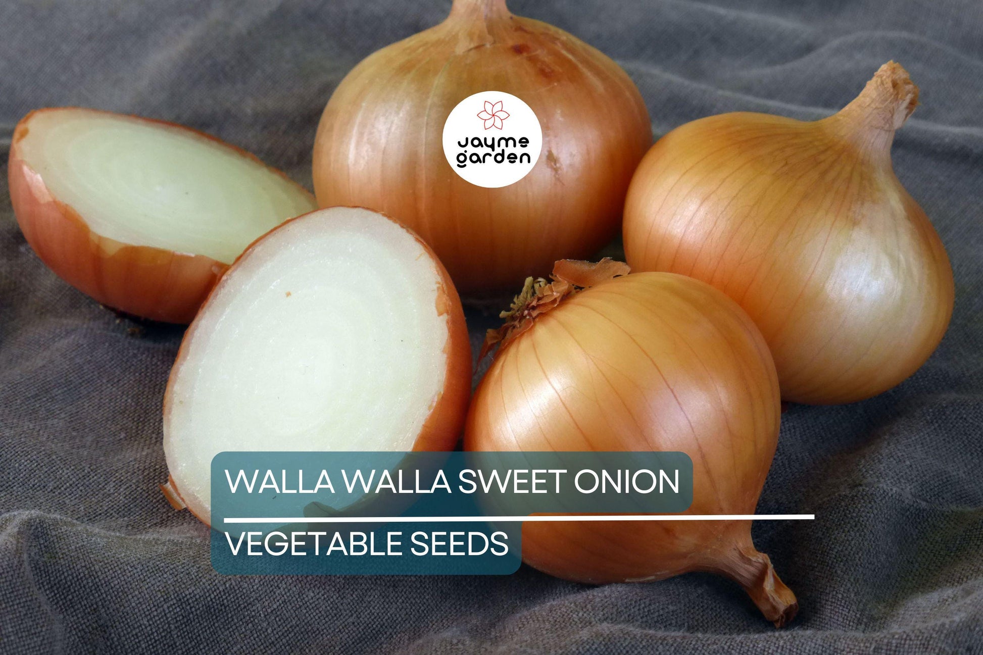 1000 Walla Walla Sweet Onion Seeds – Heirloom, Non-GMO | USA Seller, 