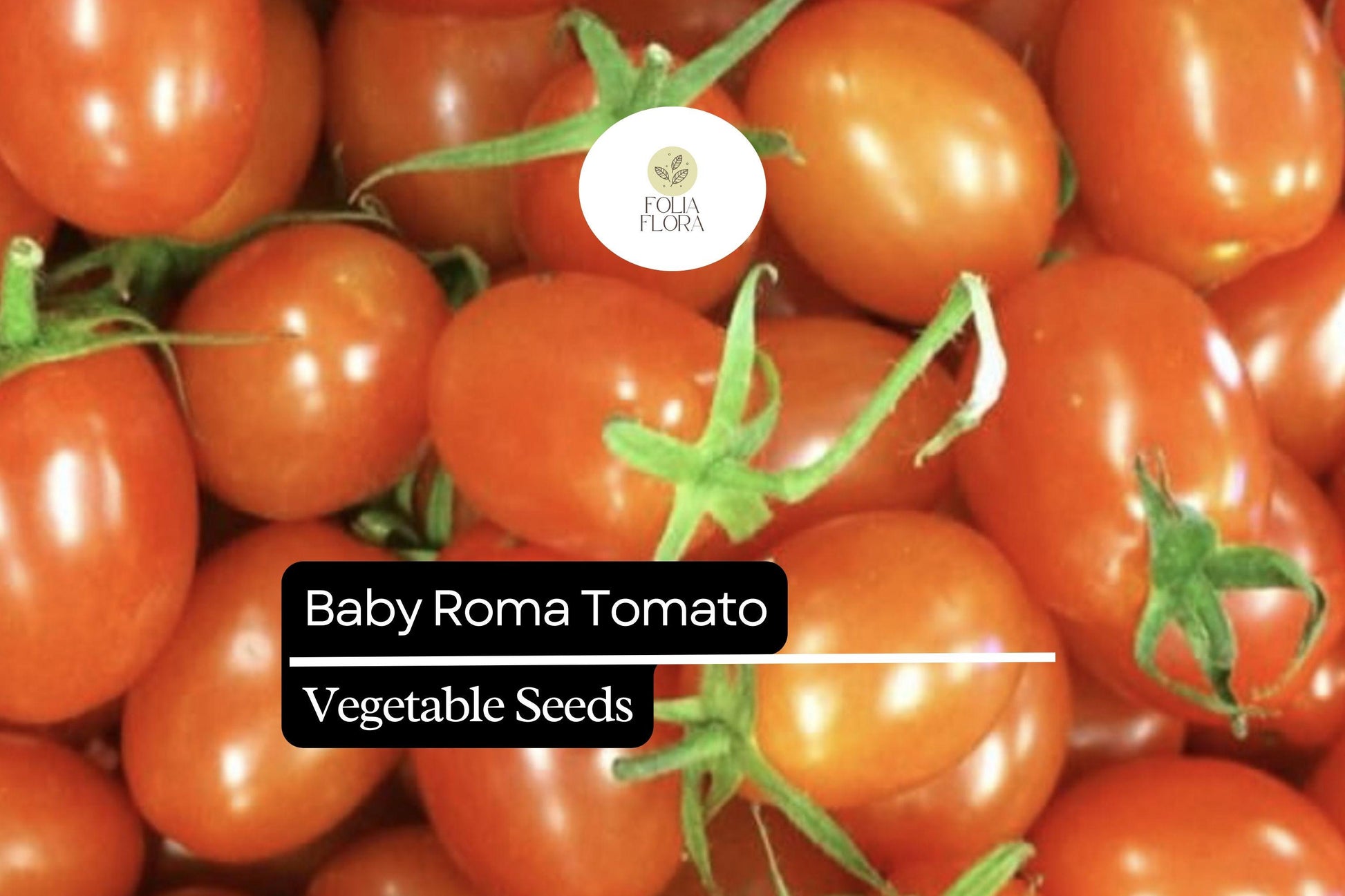 30 Baby Roma Tomato Seeds – Sweet & Juicy Mini Plum Tomatoes, Heirloom, High-Yield