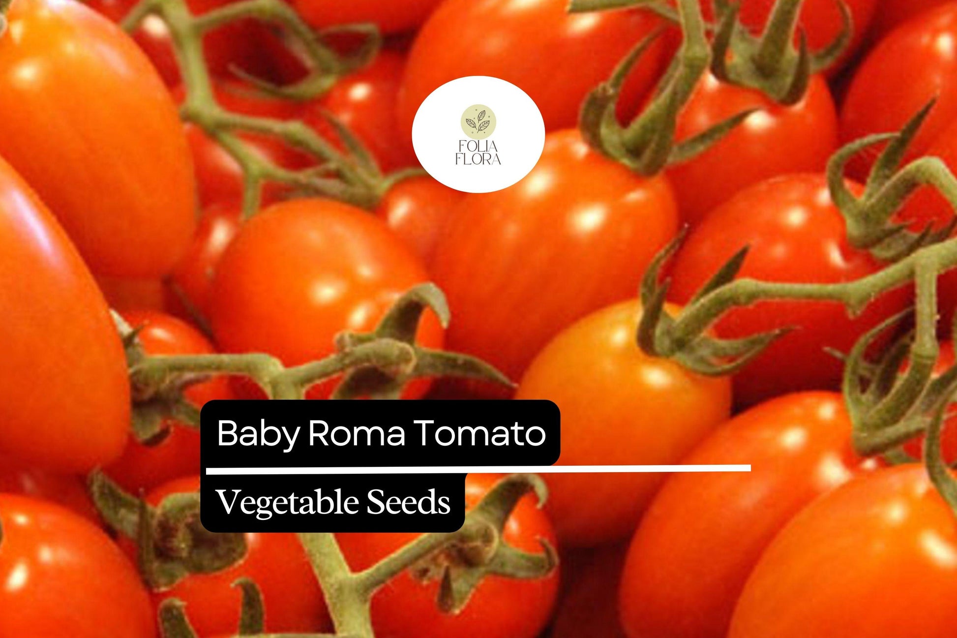 30 Baby Roma Tomato Seeds – Sweet & Juicy Mini Plum Tomatoes, Heirloom, High-Yield