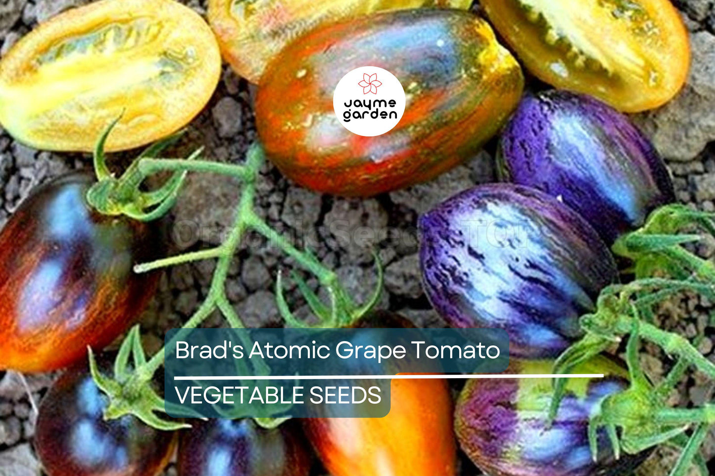 10 Seeds Brad's Atomic Grape Tomato - Rare Heirloom - Non-GMO - Colorful Stripes - Sweet Flavor - Unique Cherry Tomatoes