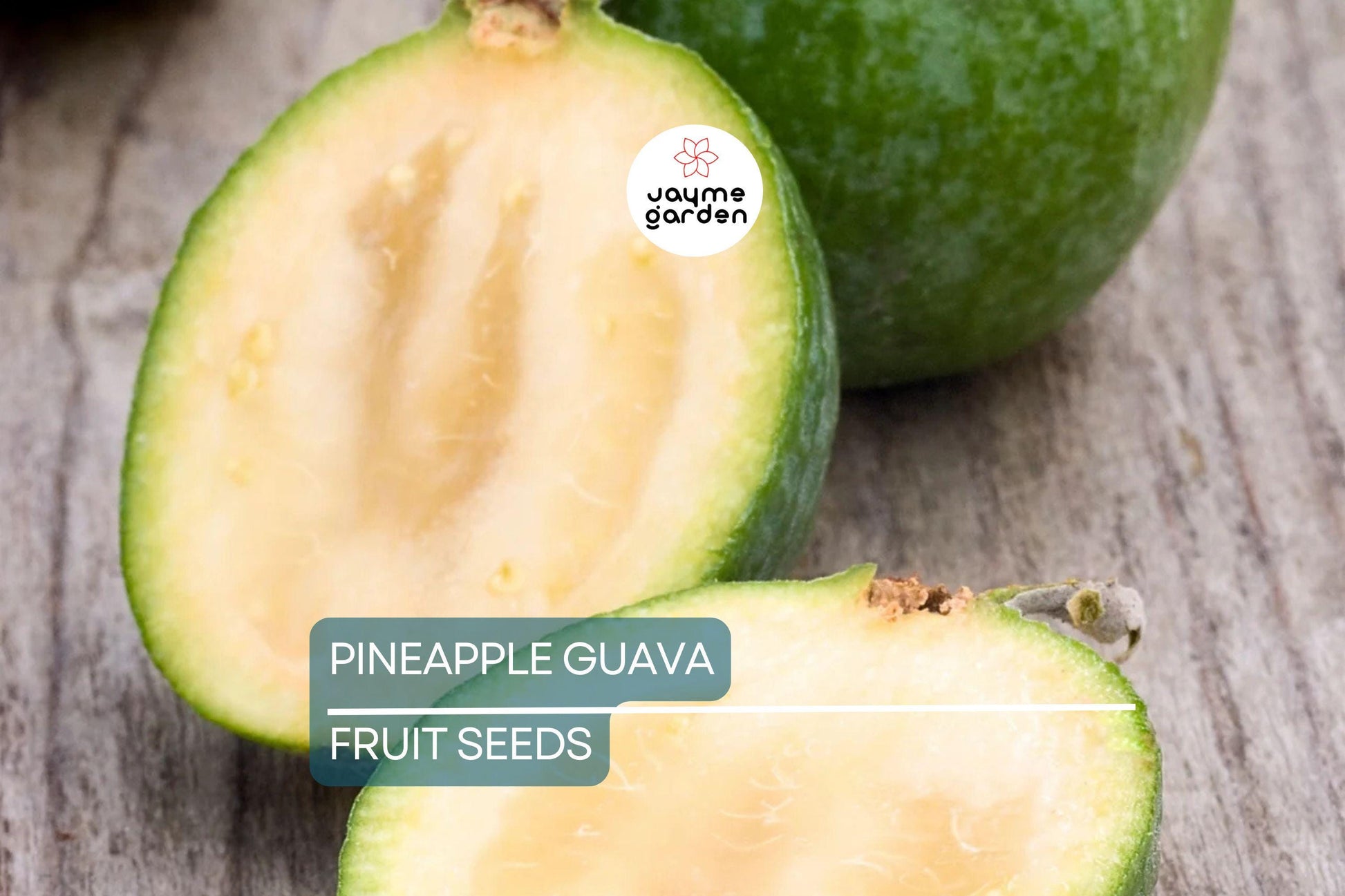 20 Pineapple Guava Tree Seeds (Feijoa sellowiana) – Tropical Fruit & Flower Plant, Edible Blooms, USDA Zones 8-11, Brazilian Fig Guava