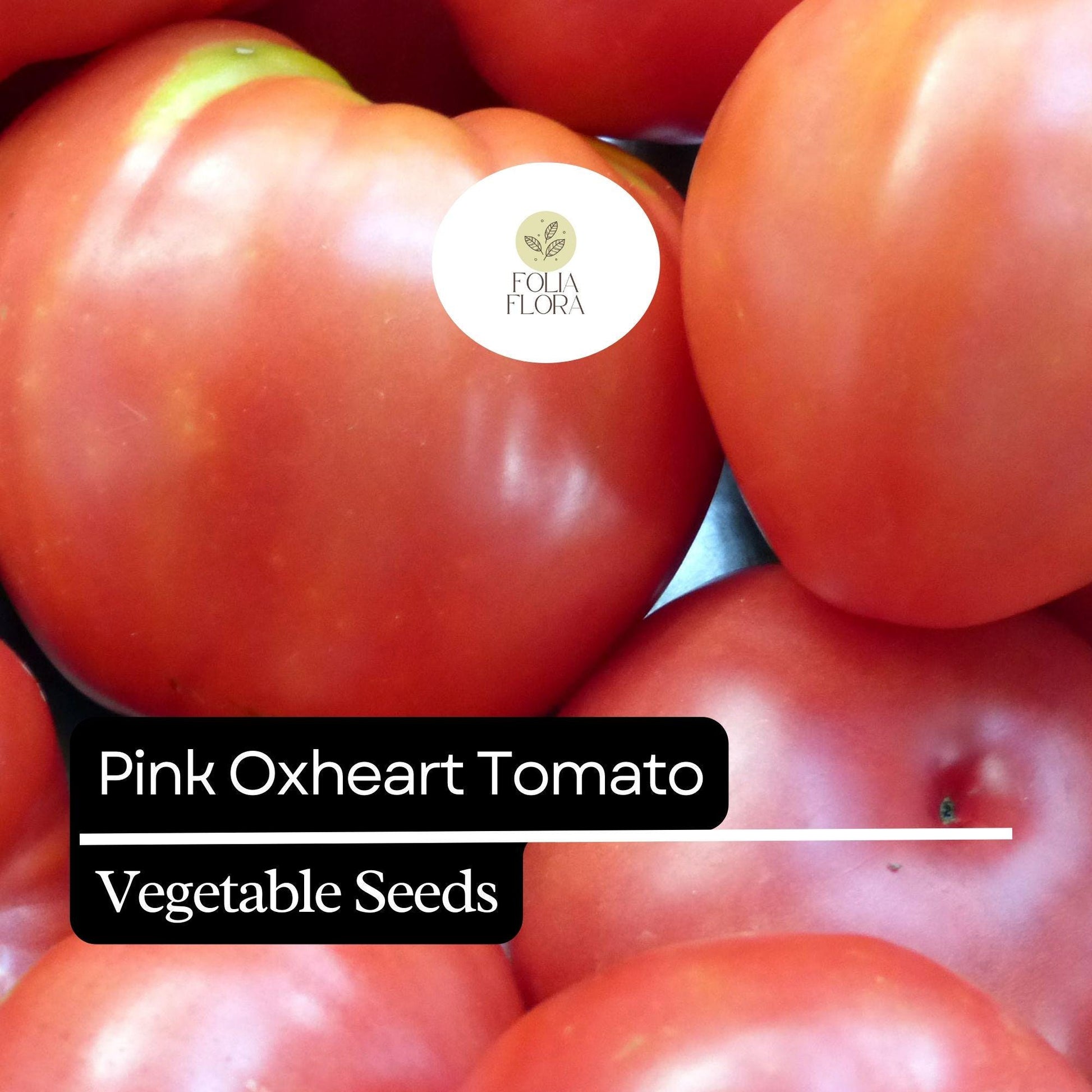 30 Pink Oxheart Tomato Seeds (Solanum lycopersicum) – Heirloom, Non-GMO, Large Juicy Tomatoes, Rich Flavor