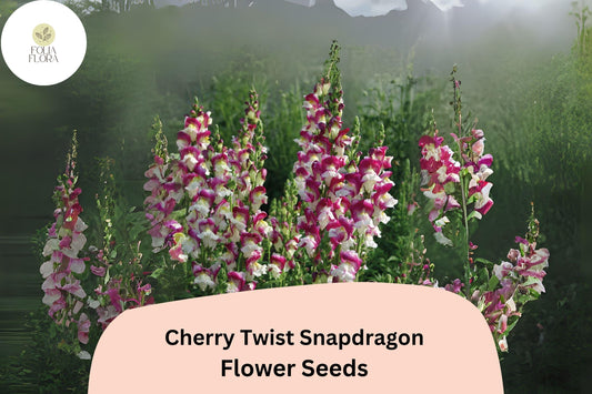 Cherry Twist Snapdragon Seeds (Antirrhinum majus) | 1000+ Seeds | Vibrant Cherry-Red Blooms for Garden & Cut Flowers