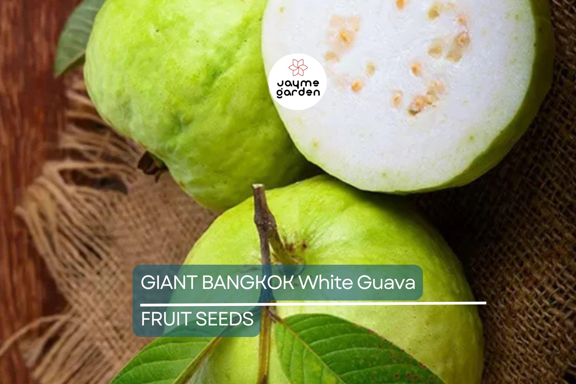 20 Giant Bangkok White Guava Seeds – Organic Non-GMO Sweet Fruit Tree, Psidium Guajava, Tropical Indoor/Outdoor Plant