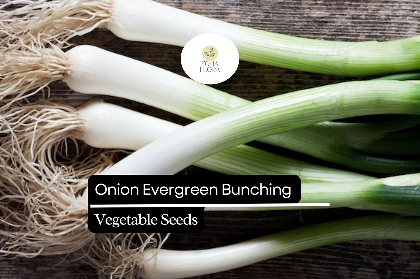 200 Evergreen Bunching Onion Seeds – Allium fistulosum – Heirloom, Fast-Growing, Mild Flavor, Great for Salads & Cooking, Non-GMO
