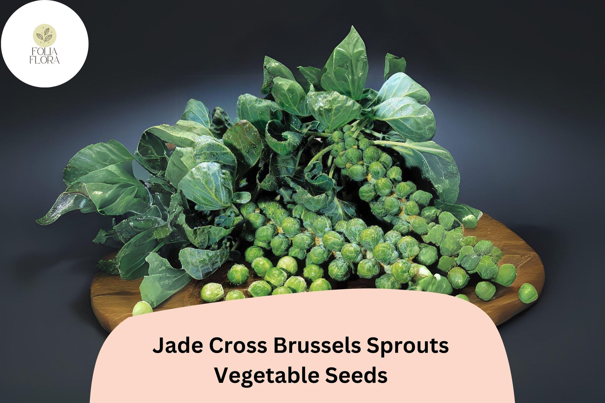 500+ Jade Cross Brussels Sprouts Seeds – Compact, High-Yield & Cold-Hardy Variety