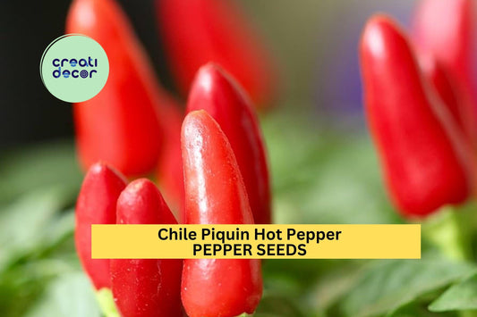 Chile Piquin Hot Pepper Seeds – 300mg for Planting, Heirloom Variety, Small & Spicy, High Yield, Heat Tolerant, Garden Container