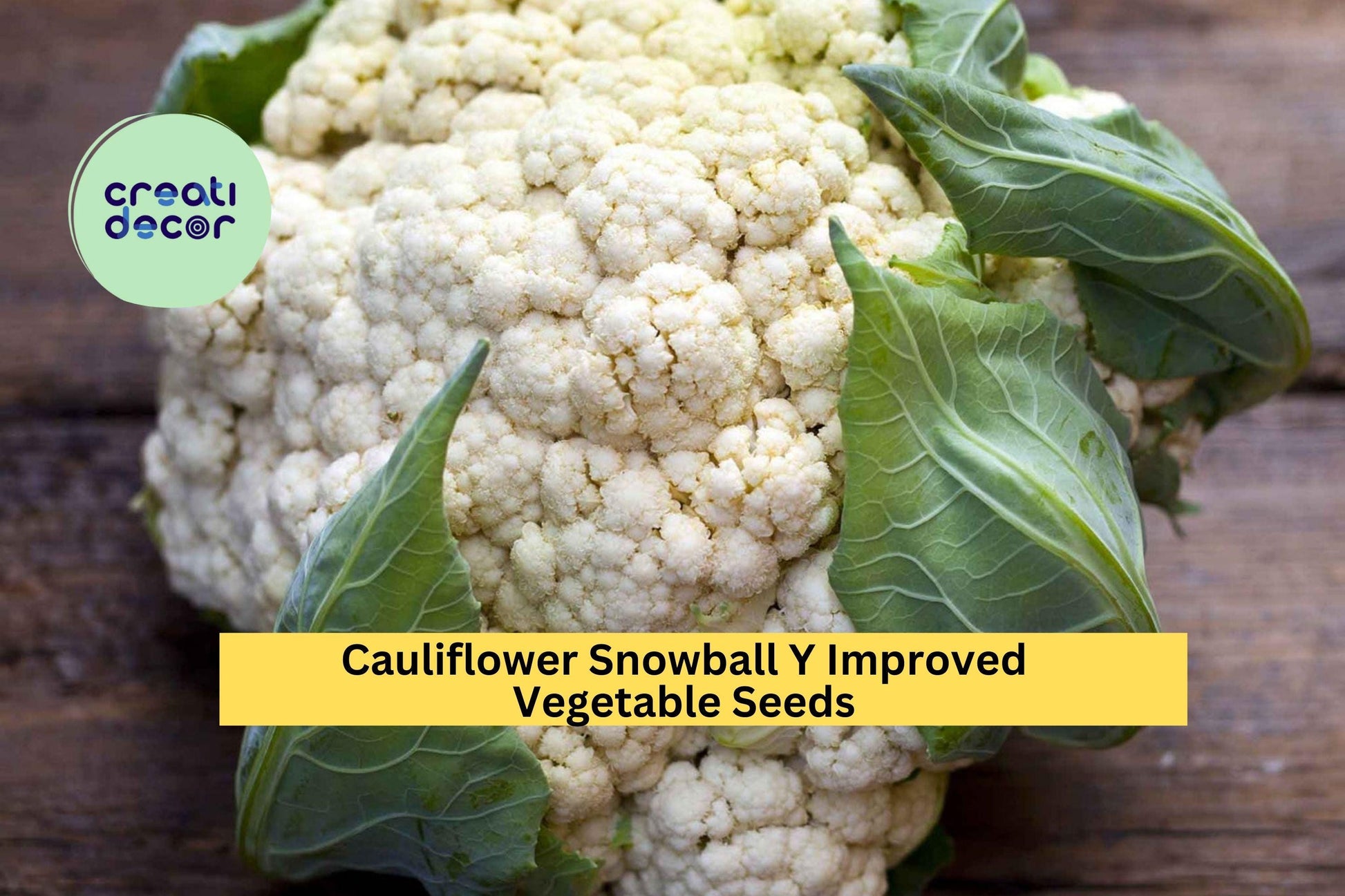 Cauliflower Snowball Y Improved Seeds – 500mg for Planting, Heirloom Variety, Tender & Mild, Cold Hardy, High Yield, Garden Container