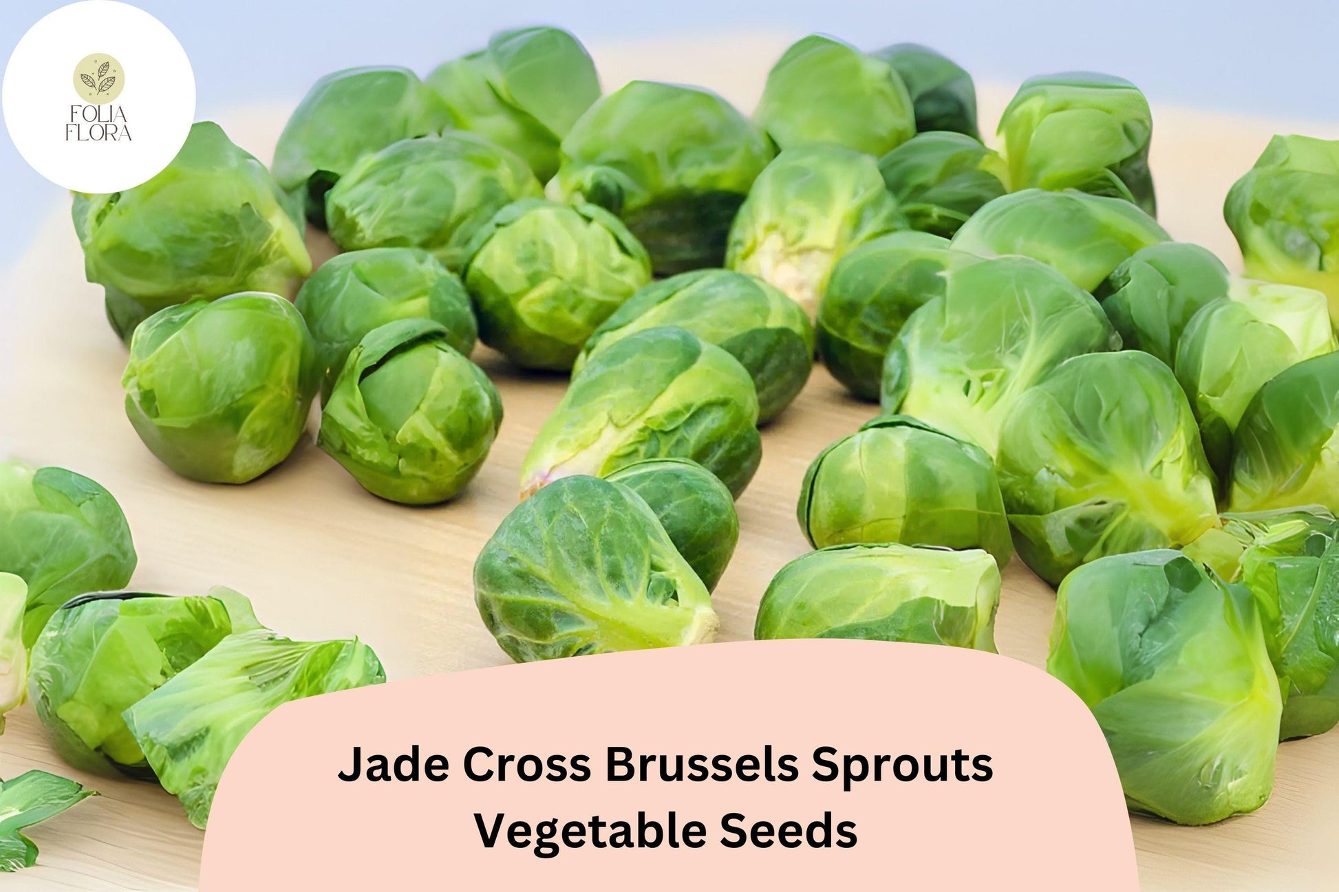 500+ Jade Cross Brussels Sprouts Seeds – Compact, High-Yield & Cold-Hardy Variety