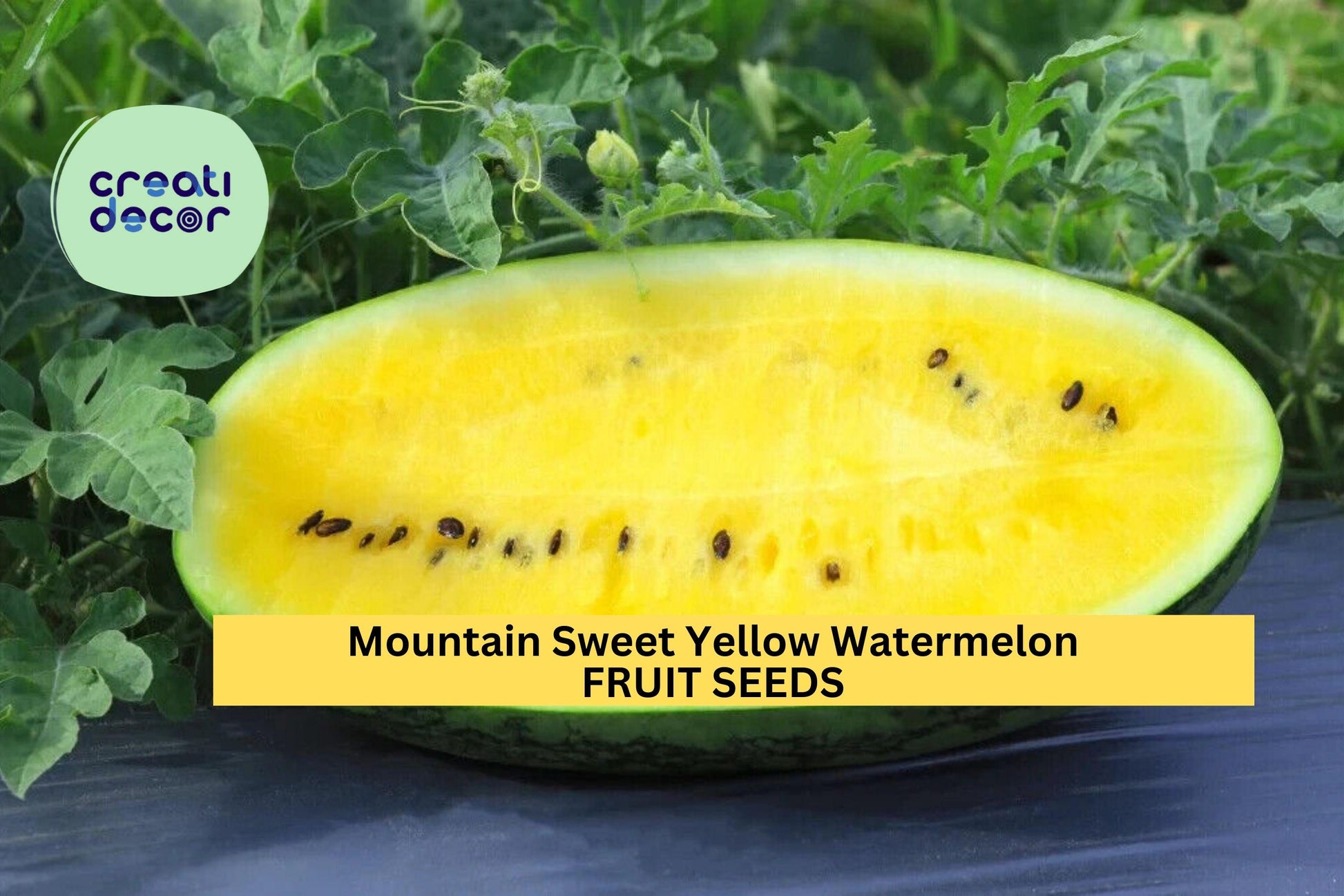Mountain Sweet Yellow Watermelon Seeds – 50+ Seeds – Heirloom Variety with Yellow Flesh – Sweet Summer Garden Fruit for Planting – USA