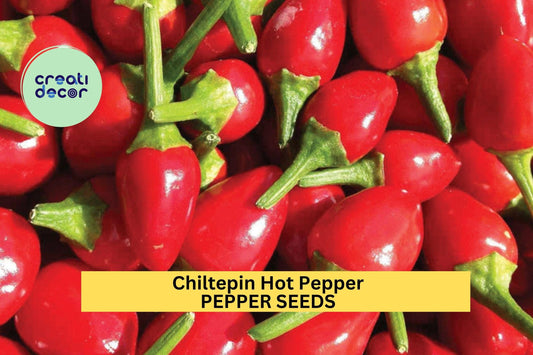 Chiltepin Hot Pepper Seeds – 250mg for Planting, Heirloom Variety, Tiny & Fiery, High Yield, Drought Tolerant, Garden Container