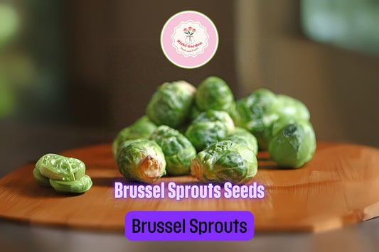 250+ Brussels Sprouts Seeds | Brassica oleracea | Non-GMO Cold Weather Vegetable for Fall Harvest | Easy to Grow in Gardens