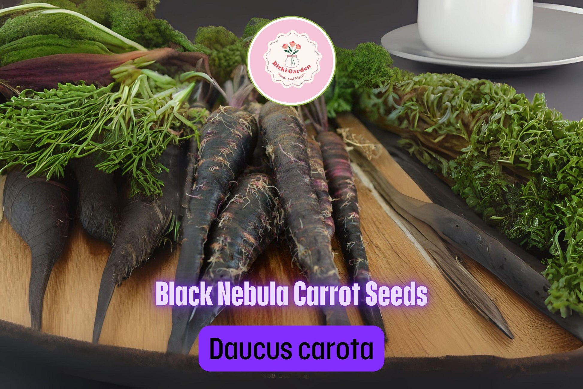 500+ Black Nebula Carrot Seeds | Daucus carota | Deep Purple-Black Non-GMO Heirloom Carrots for Planting | Unique Garden Vegetable
