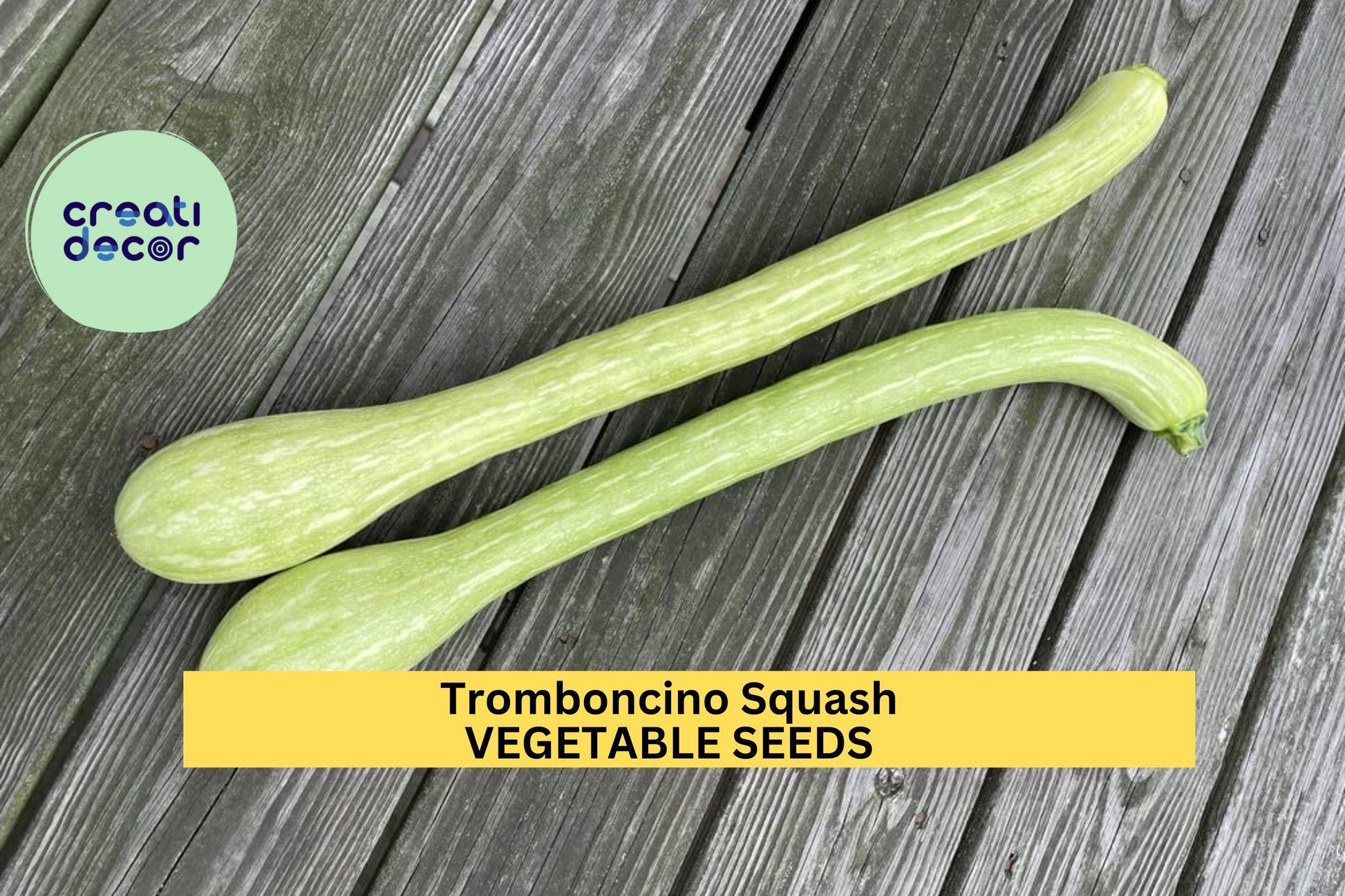 Tromboncino Squash Seeds – 25+ Seeds – Heirloom Climbing Zucchini for Trellises, Summer or Winter Harvest, and Edible Gardens – USA