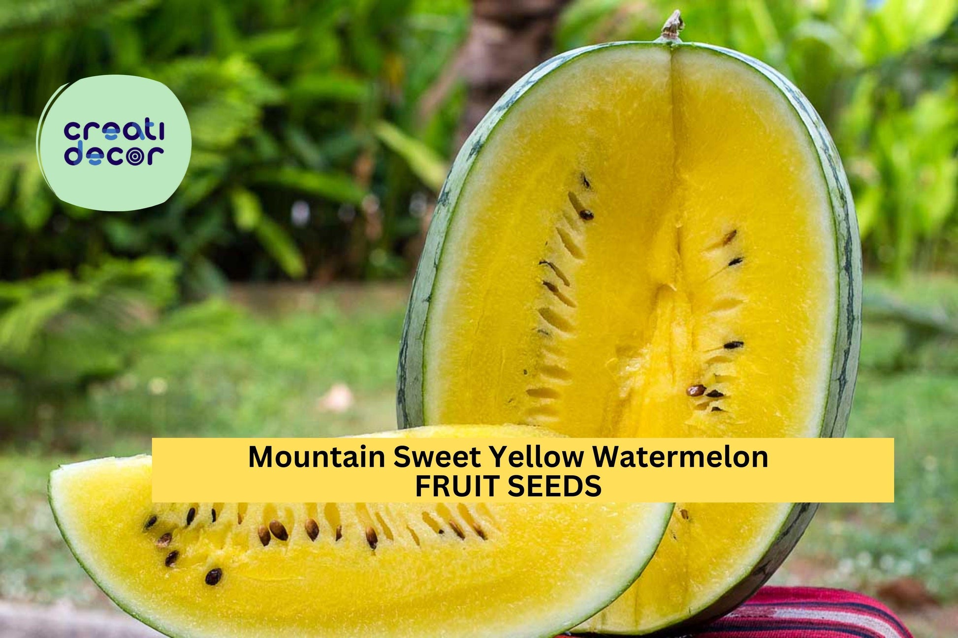 Mountain Sweet Yellow Watermelon Seeds – 50+ Seeds – Heirloom Variety with Yellow Flesh – Sweet Summer Garden Fruit for Planting – USA