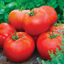 100 mg Ace 55 Tomato Seeds - Solanum lycopersicum | Heirloom, Low-Acid Red Tomato for Planting, Home Garden, Perfect for Slicing & Cooking