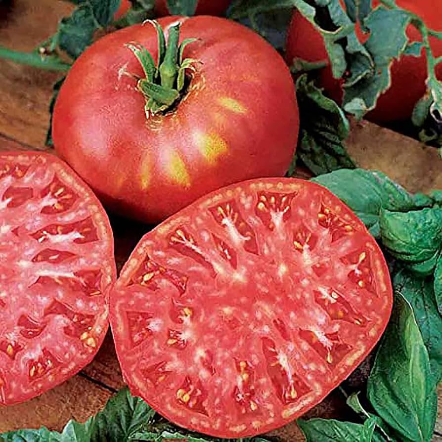 30 Seeds Pink Brandywine Tomato - Solanum lycopersicum | Heirloom, Juicy, and Flavorful Tomatoes