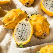 Yellow Dragon Fruit Cutting - 1 Rare Pitaya Stem, Sweet Tropical Fruit, Fast-Growing Cactus, Self-Pollinating, Zones 10-11, No Roots