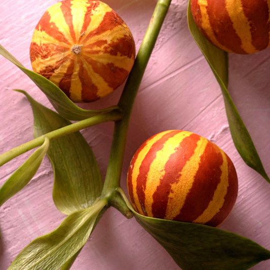10 Tigger Melon Seeds | Rare Striped Melon Variety | Cucumis melo | Non-GMO Mini Melons with Fragrant Flesh | Garden Favorite