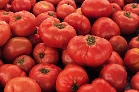 100 mg VR Moscow Tomato Seeds - Solanum lycopersicum | Heirloom Disease-Resistant Tomato for Planting, Gardening & Slicing