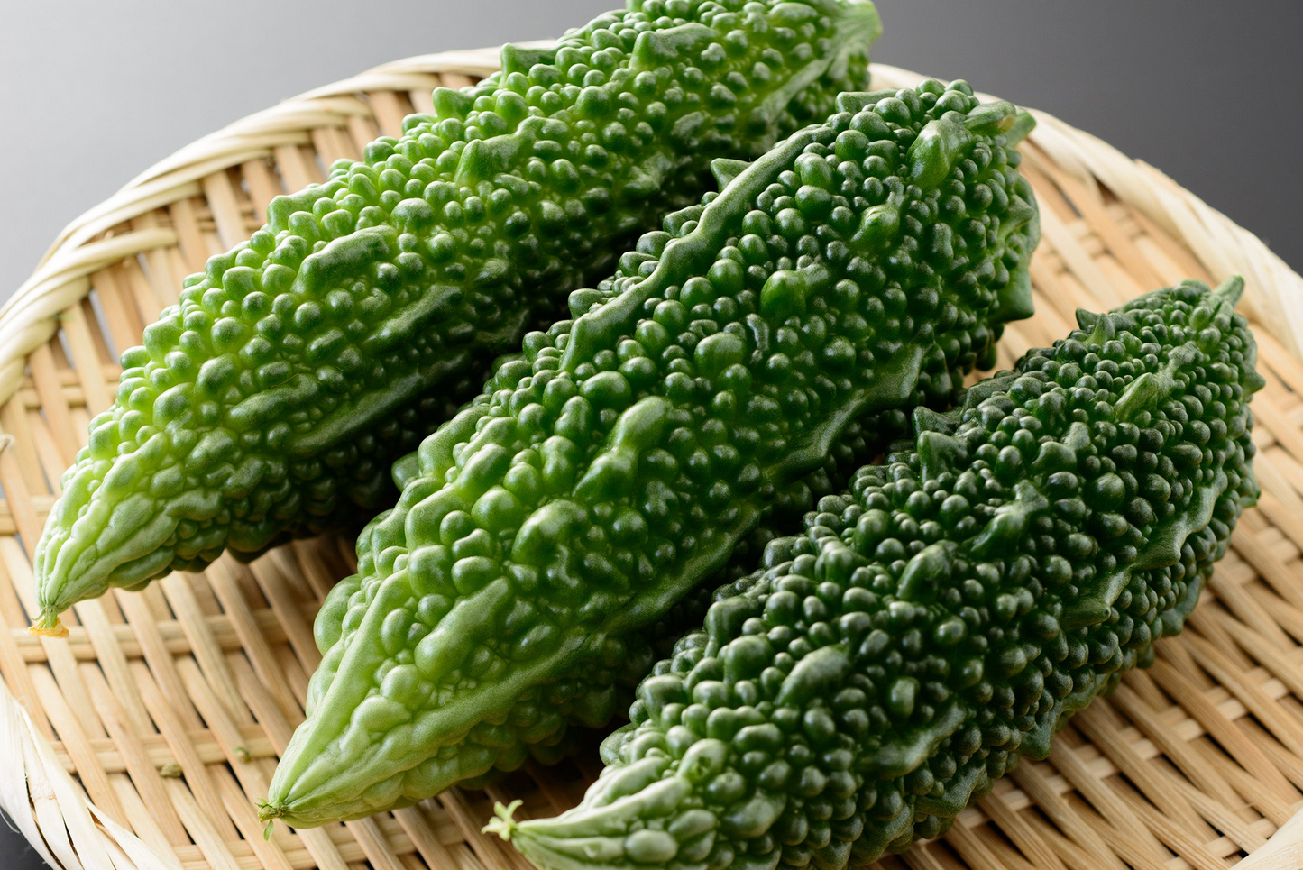 5 Seeds Gourd Bitter Futo Spindle – Hybrid (Momordica charantia) Non-GMO, Healthy Bitter Gourd for Planting, Gardening, & Fresh Harvests