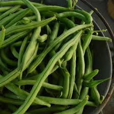 100 Green Bean Seeds - Bulk Jade Bush Beans for Planting (Phaseolus vulgaris) - High Yield, Easy to Grow Vegetable Seeds for Home Garden