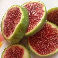 White Adriatic Fig Tree Cuttings | 5 Unrooted Cuttings | Heirloom Variety | Easy to Root | Home Garden Fruit Plant