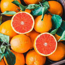 California Navel Orange Cuttings, Citrus sinensis, 5 Grafting Stems, Fruit Tree Propagation, USDA Zones 9-11