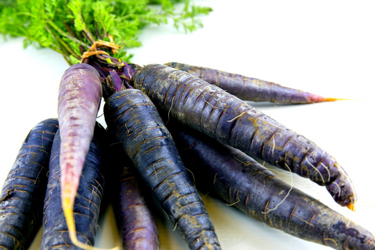 500+ Black Nebula Carrot Seeds | Daucus carota | Deep Purple-Black Non-GMO Heirloom Carrots for Planting | Unique Garden Vegetable